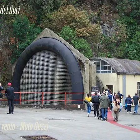 Il Giardino Dei Fiori